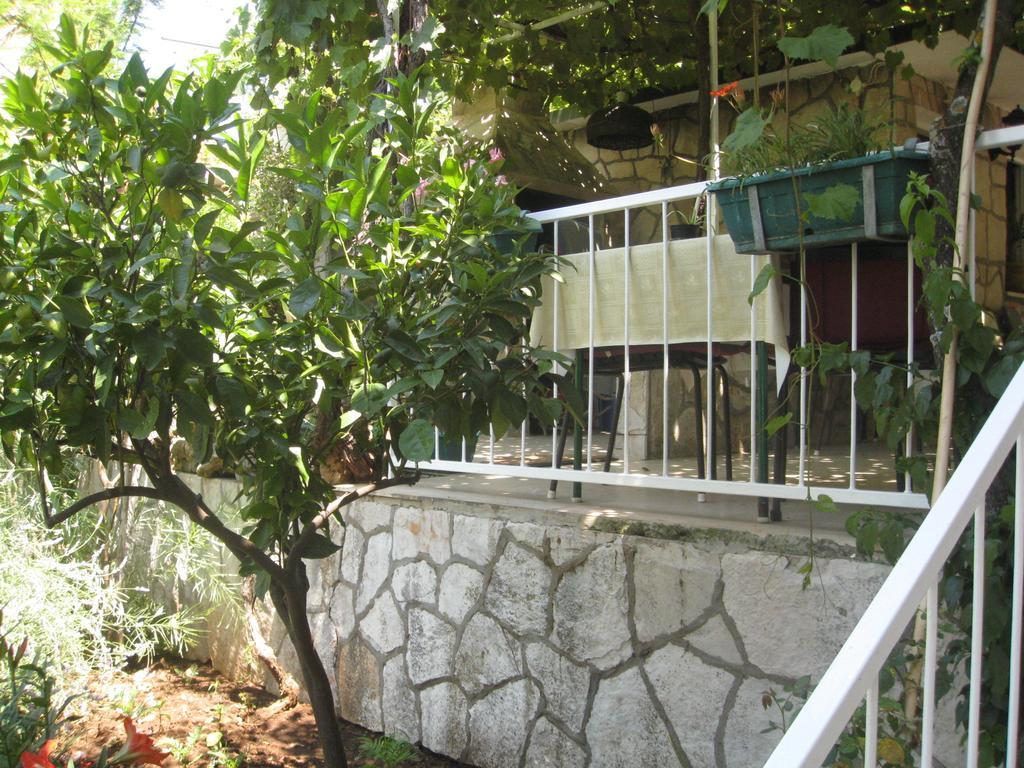Villa Volga 젤사 외부 사진